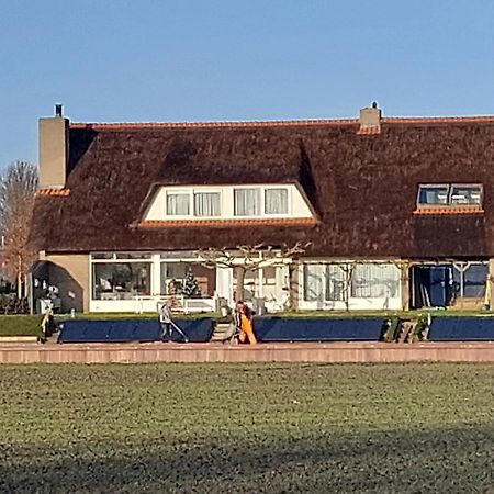 ハルリンゲン Riethove Bed & Breakfast エクステリア 写真