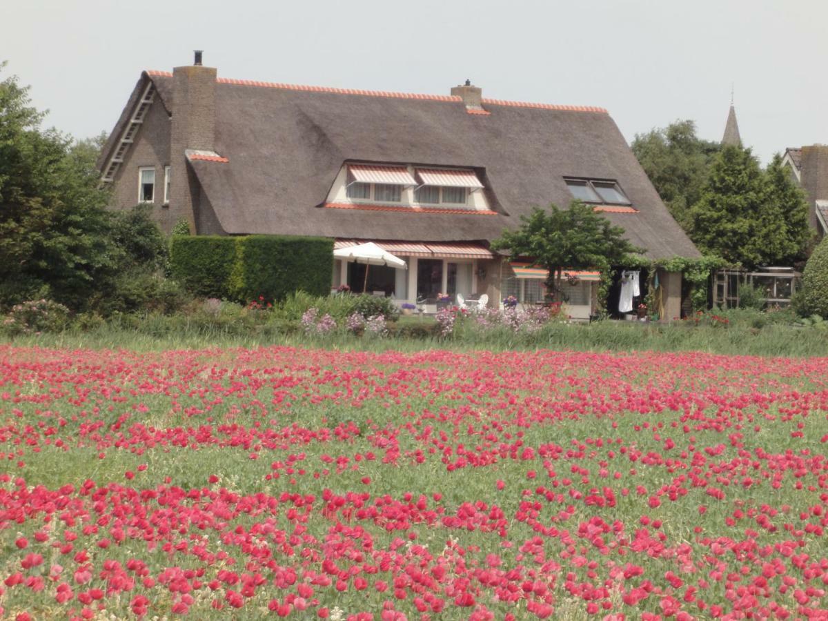 ハルリンゲン Riethove Bed & Breakfast エクステリア 写真